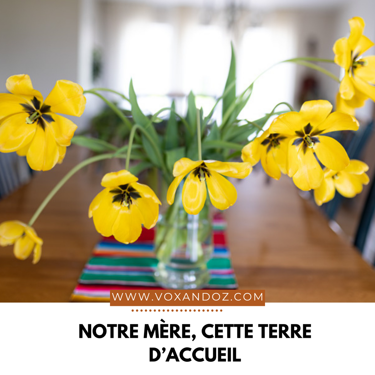 L’héritage d’une étreinte : quand l’accueil d’une mère se perpétue