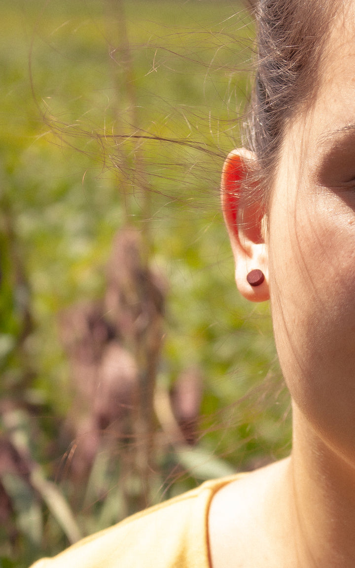 GEN Puces d'Oreilles Rondes