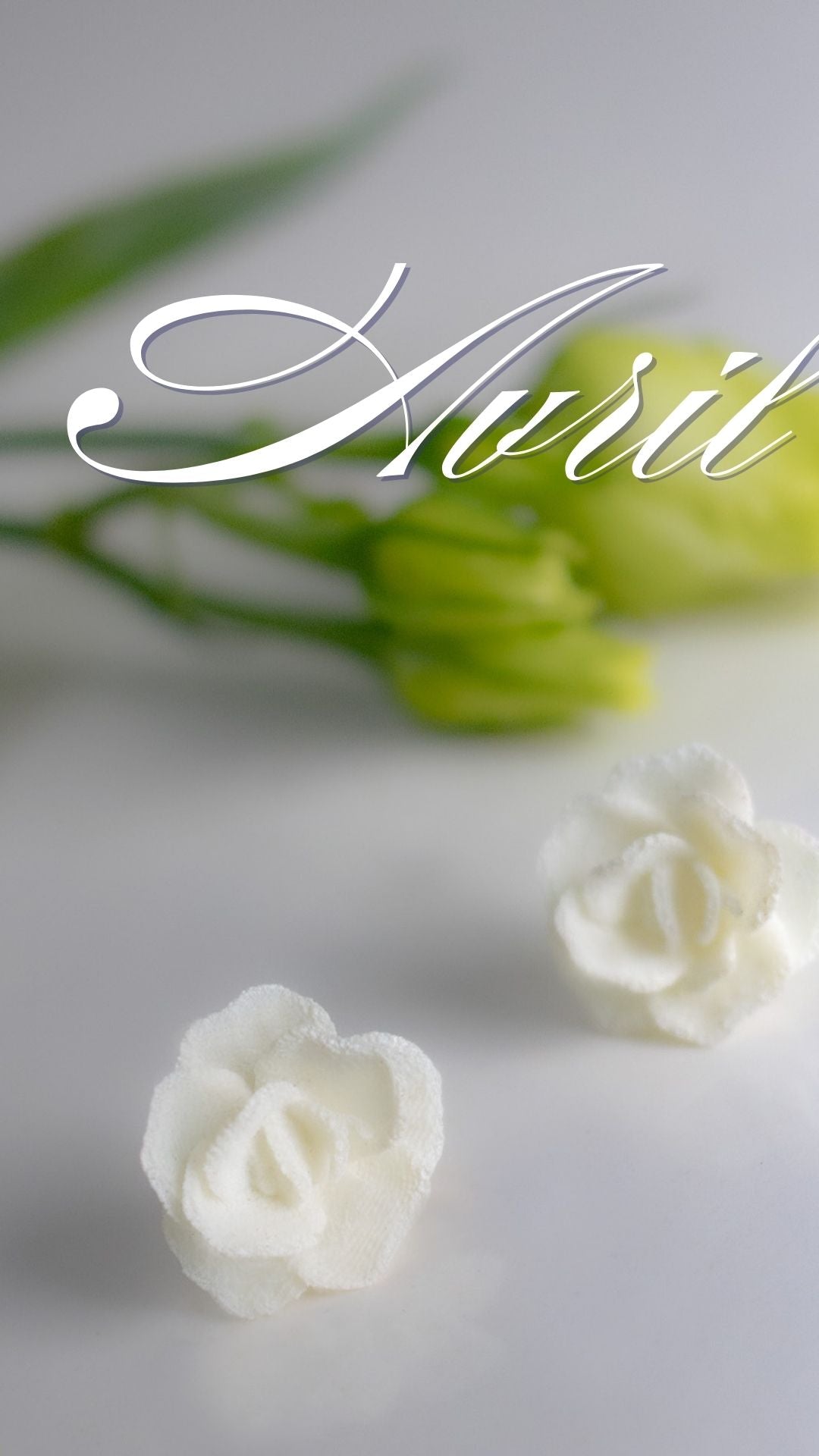 ROSE 3D – Boucles d’oreilles d’anniversaire