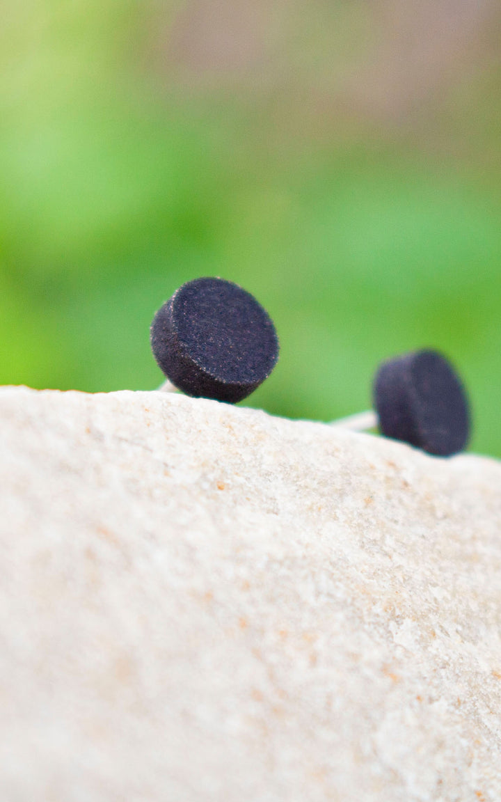 PUCE RONDELLE – nommée GEN