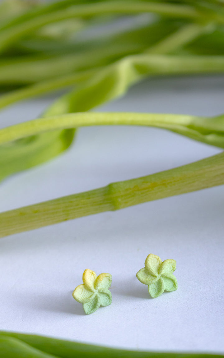 OHANA – Puces d’oreilles Fleur de Plumeria