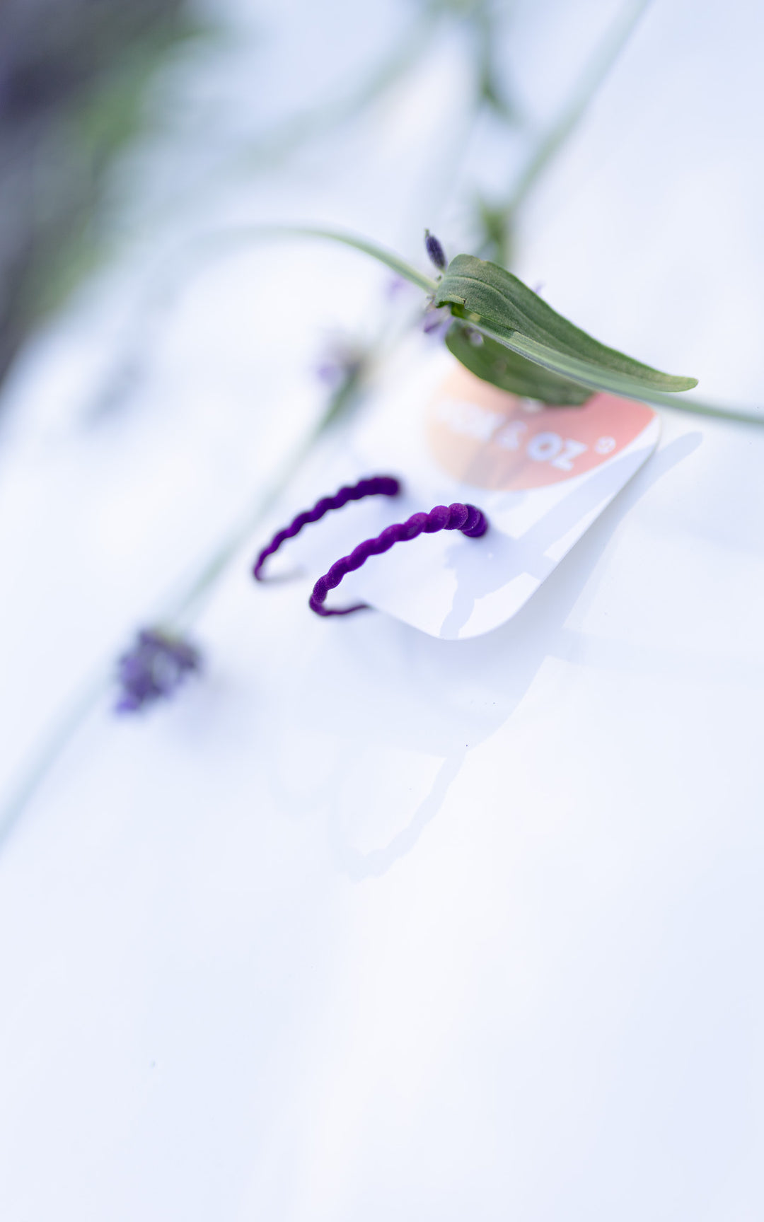 SCOQUILLAGE – Petits anneaux croissants 2,5 cm | Inspirés de la mer