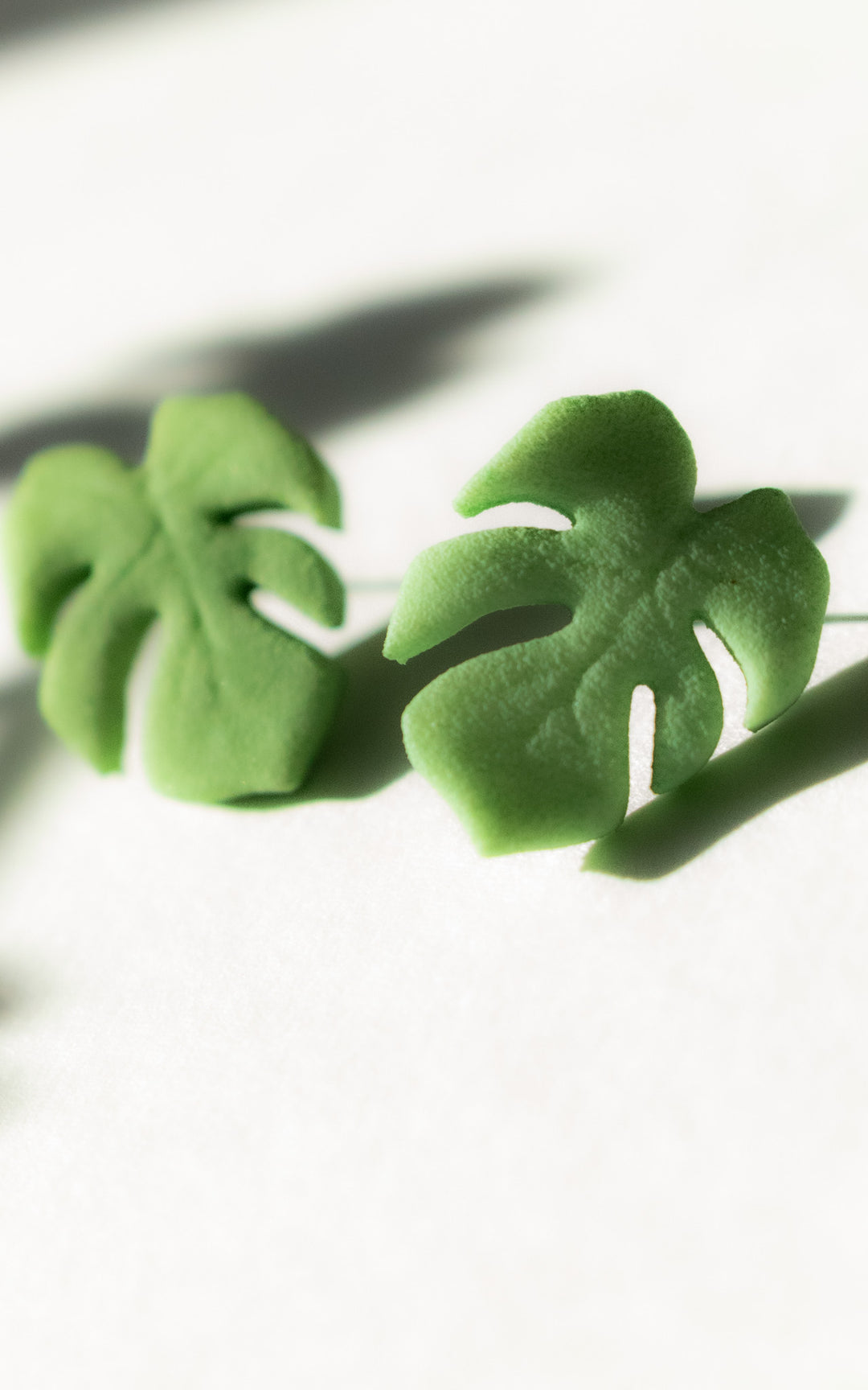 Vue de face des puces d’oreilles en forme de feuille de Monstera, modèle MAUI. Leur design épuré met en valeur les nervures stylisées de la feuille, symbole de fraîcheur et de style botanique.
Chaque boucle est imprimée en 3D à partir de nylon recyclé, puis teintée à la main dans une douce teinte de vert végétal. Un bijou minimaliste, ultraléger et fait au Québec, parfait pour un look naturel et contemporain.