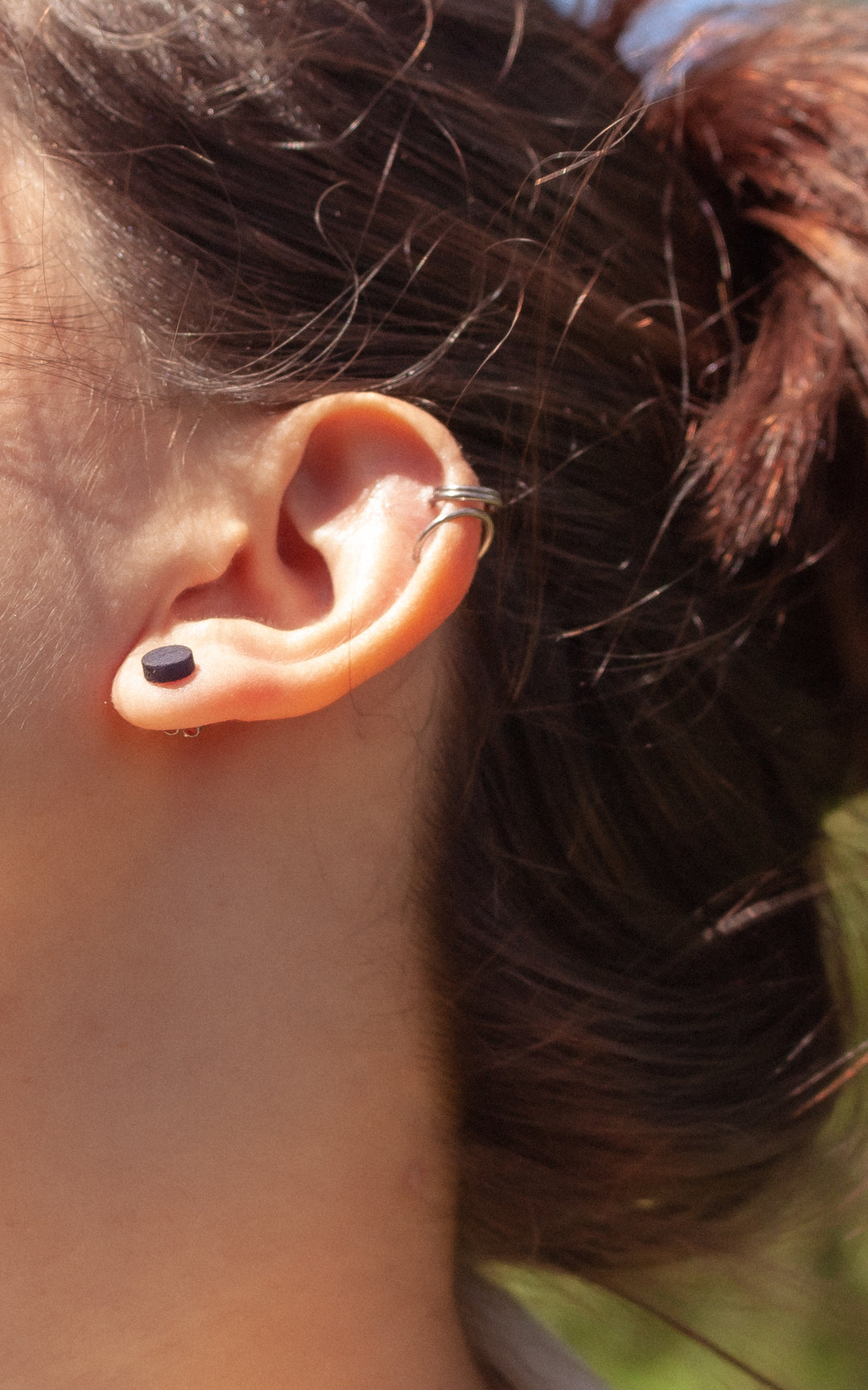 GEN Puces d'Oreilles Rondes