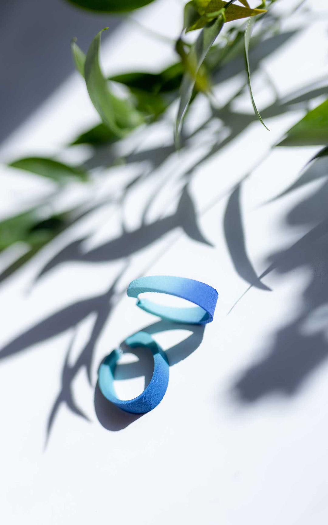 KIWI Boucles d'oreilles ovales